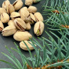 Pistacje prażone solone 250 g Dalina w łupinie - (17243262420)