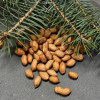 Orzeszki ziemne naturalne nieblanszowane 500g - (17315495091)